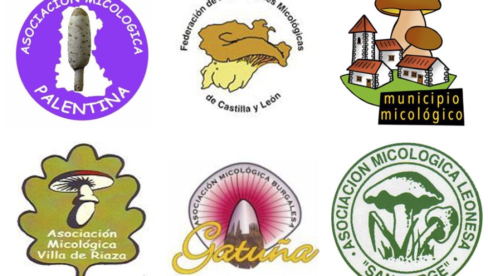 asociacion.micologica asociacion.micologica
