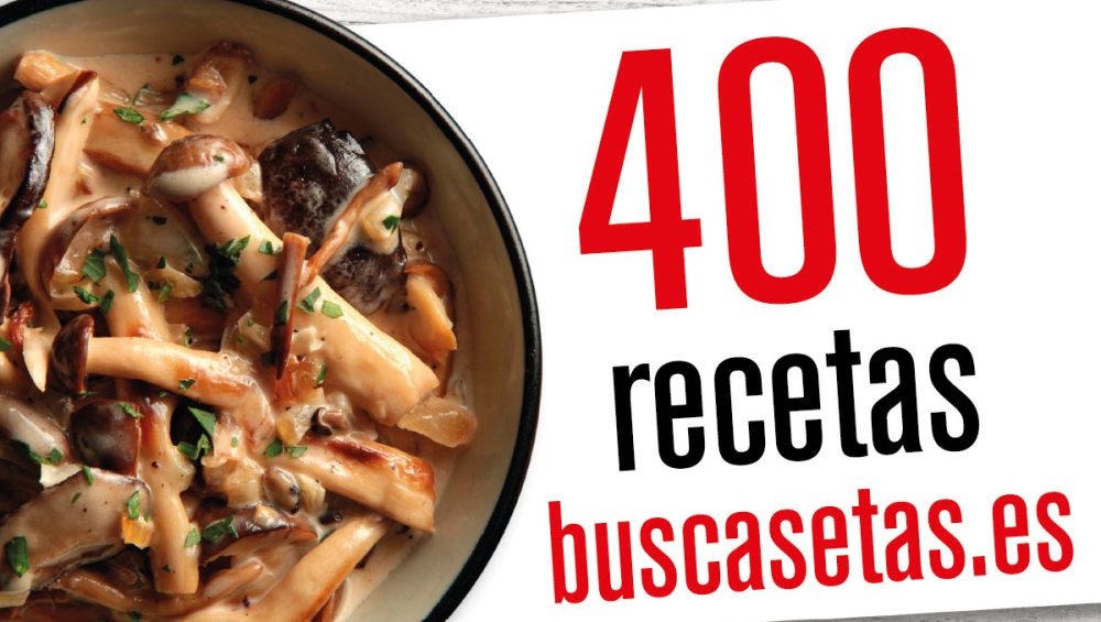 recetas.setas recetas.setas