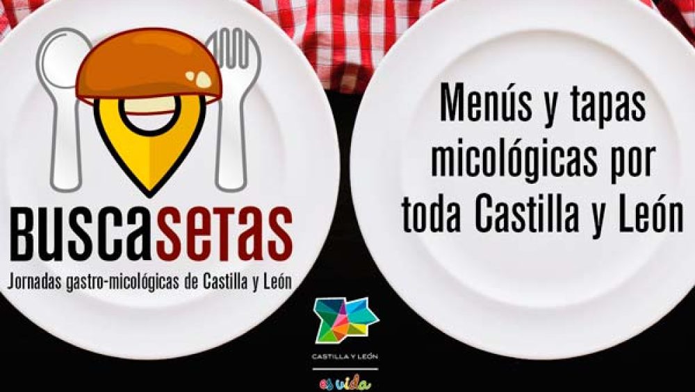 inscripcion.buscasetas inscripcion.buscasetas