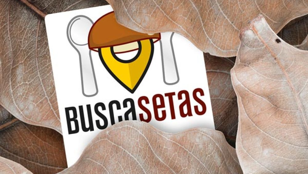 jornadas.buscasetas jornadas.buscasetas